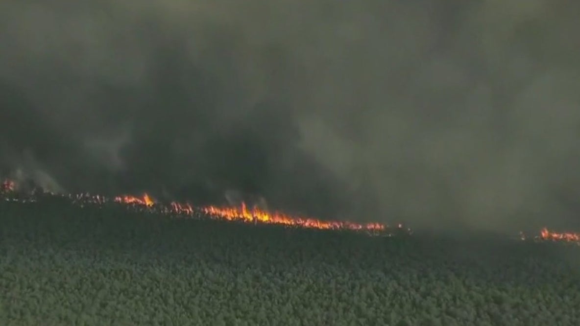Wildfire burning in New Jersey